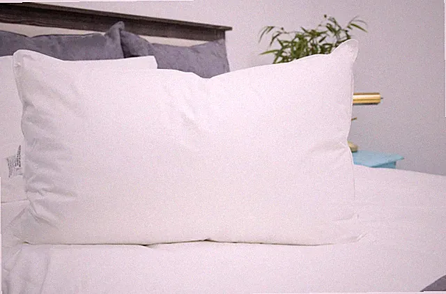 IHG Featherbest 300tc Pillow QUEEN Soft Featured at IHG Hotels FREE PILLOWCASE