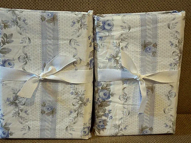 Pottery Barn Teen Love Shack Fancy Dreamy Days Set of 2 KING SHAMS Blue