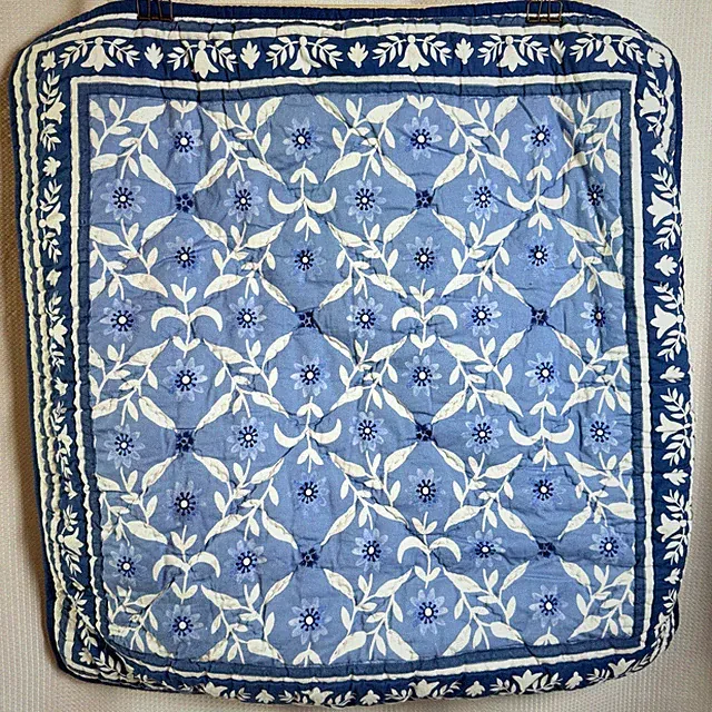 Pottery Barn X Mark D. Skies Pillow Shams Clementine Quilted Euro Covers in EUC
